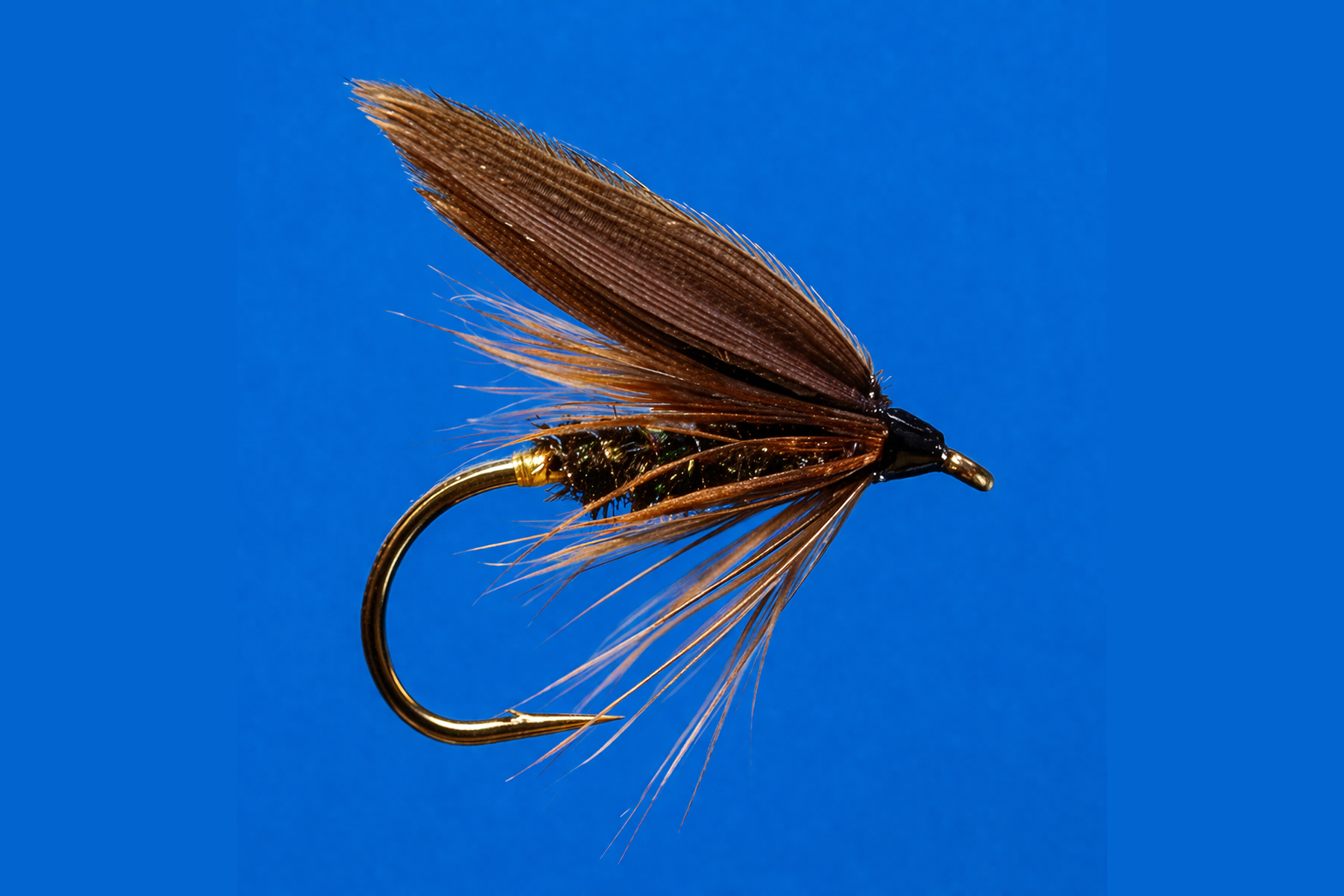 Leadwing Coachman fly pattern