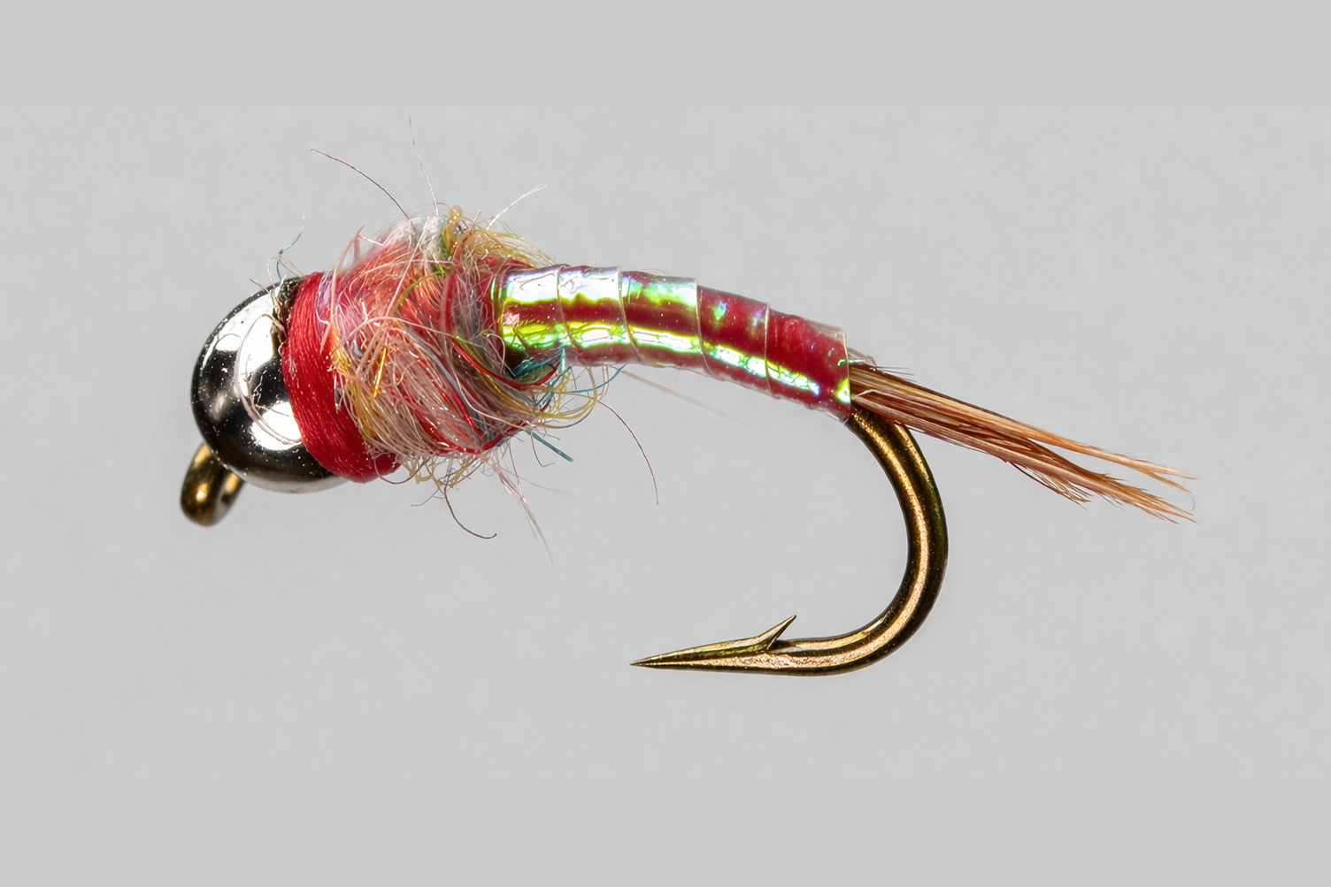 Rainbow Warrior fly pattern