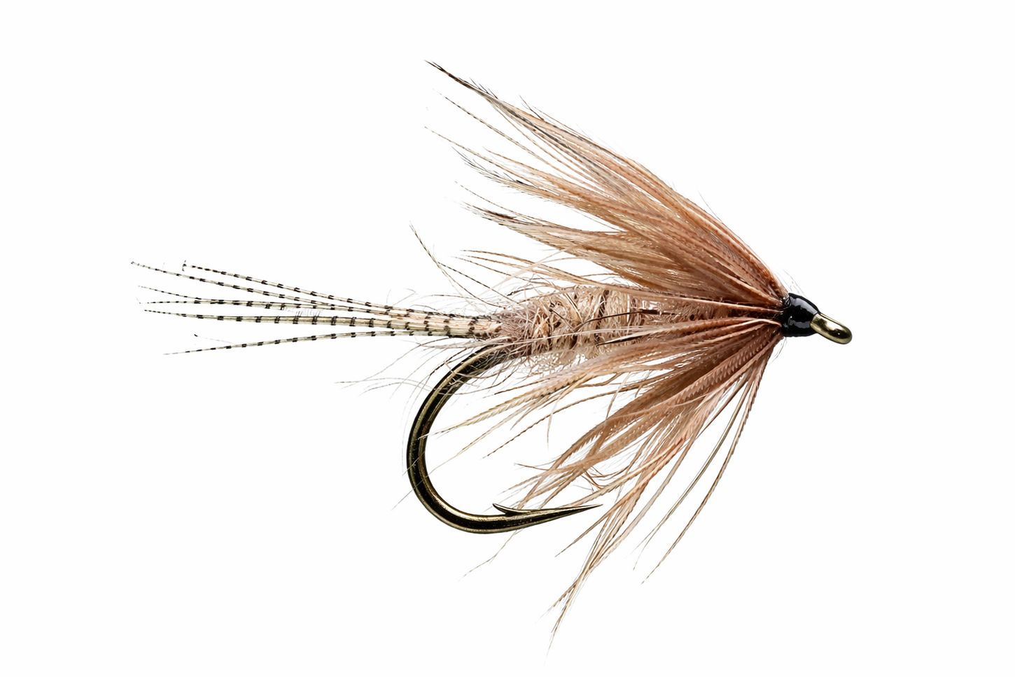 Soft Hackle Hare's Ear fly pattern