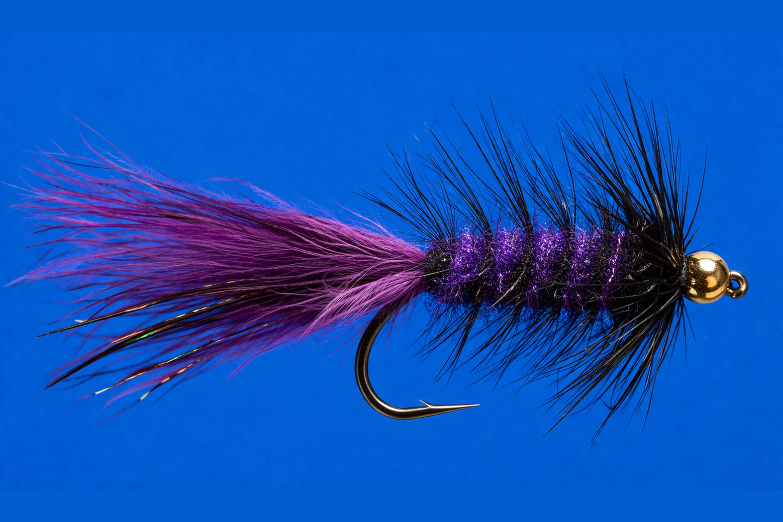 Woolly Bugger fly pattern